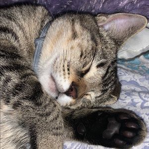 Meet your Posher, Rocio